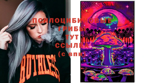 СК Новокубанск