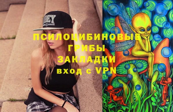 марки lsd Бородино
